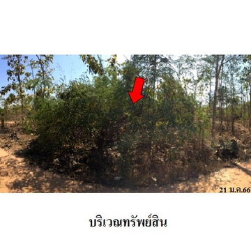 Z8Z2690 ขายที่ดินเปล่า โครงการ เสริมทรัพย์สักทอง ตำบล หนองปลาสะวาย อำเภอ บ้านโฮ่ง จังหวัด ลำพูน