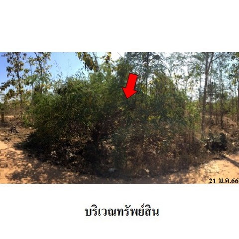 รูป Z8Z2690 ขายที่ดินเปล่า โครงการ เสริมทรัพย์สักทอง ตำบล หนองปลาสะวาย อำเภอ บ้านโฮ่ง จังหวัด ลำพูน - รูปที่ 1/8