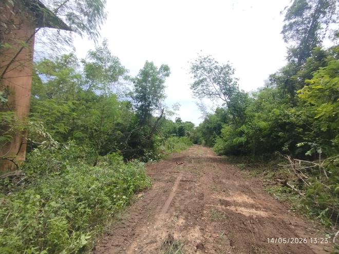 picture LAND 663 Sq.w. Khlong Thom Krabi for 2.9M - 8/26