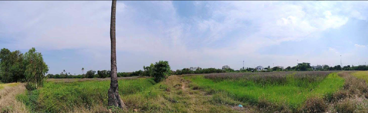picture LAND 19130 Sq.w. Muang Suphanburi Suphanburi for 139.2M - 5/10