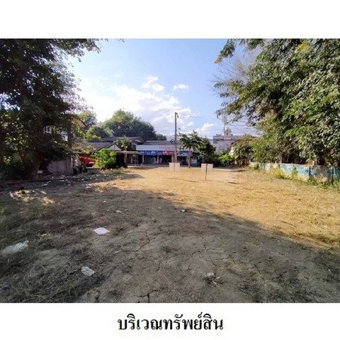 รูป Z3A1108 ขายที่ดินเปล่า ตำบล เวียงใต้ อำเภอ ปาย จังหวัด แม่ฮ่องสอน - รูปที่ 3/8