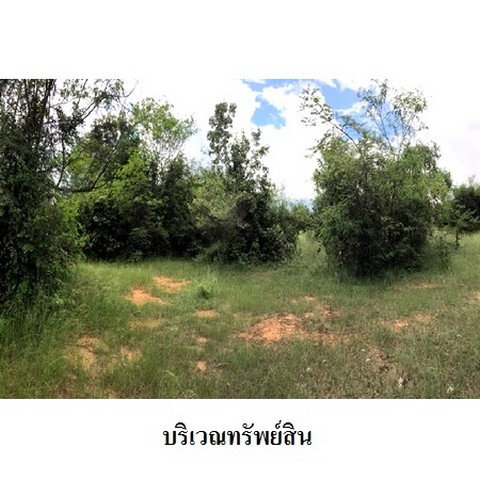 picture FOR SALE LAND PROPERTY 2194000 BAHT. - 3/8