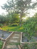 listing thumbnail image 56