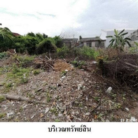 picture FOR SALE LAND PROPERTY 1980000 BAHT. - 4/8