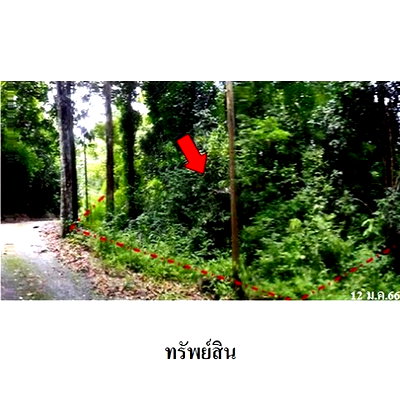 ที่ดิน จันทบุรี : Z1T2944 ขายที่ดินเปล่า โครงการ กระทิง คันทรี รีสอร์ท ตำบล พลวง อำเภอ เขาคิชฌกูฏ จังหวัด จันทบุรี