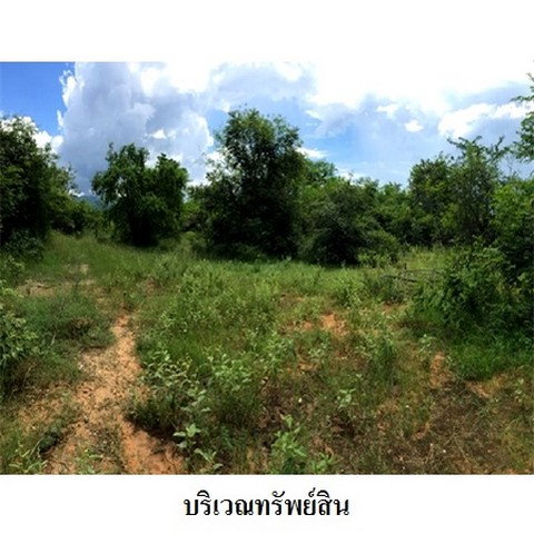 picture FOR SALE LAND PROPERTY 2194000 BAHT. - 6/8