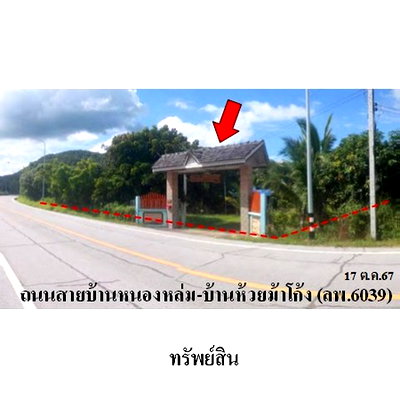 ที่ดิน เมืองลำพูน ลำพูน : ZHL0394 ขายที่ดินเปล่า ตำบล ศรีบัวบาน อำเภอ เมืองลำพูน จังหวัด ลำพูน