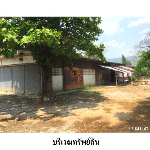 รูป Z3A1312 ขายอพาร์ทเมนท์ ตำบล บ้านโฮ่ง อำเภอ บ้านโฮ่ง จังหวัด ลำพูน - รูปที่ 2/8