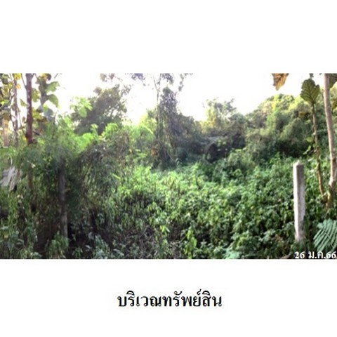 รูป Z8Z4502 ขายที่ดินเปล่า ตำบล ป่าไผ่ อำเภอ ลี้ จังหวัด ลำพูน - รูปที่ 4/8