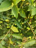 listing thumbnail image 68