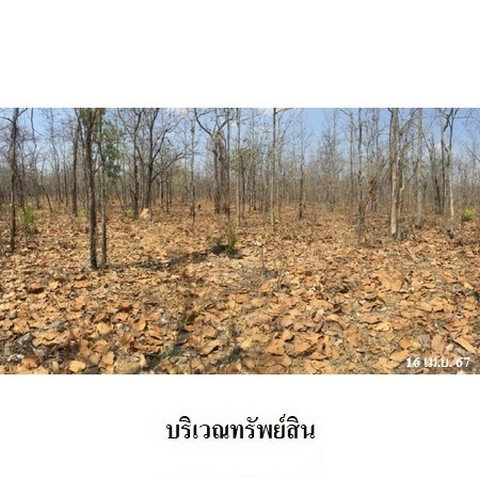 รูป Z3A0415 ขายที่ดินเปล่า ตำบล ไม้งาม อำเภอ เมืองตาก จังหวัด ตาก - รูปที่ 8/8