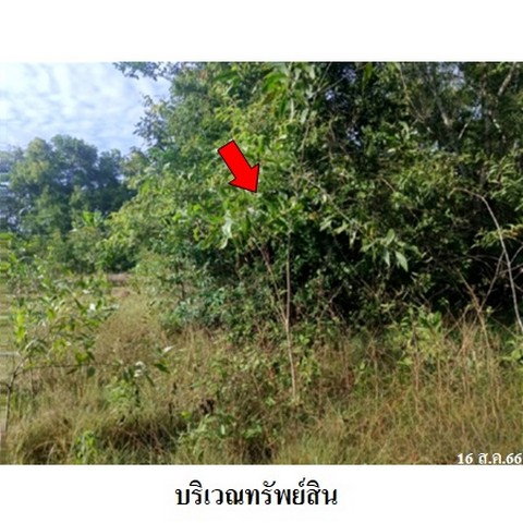 รูป Z2T1321 ขายที่ดินเปล่า ตำบล สระแก้ว อำเภอ เมืองสระแก้ว จังหวัด สระแก้ว - รูปที่ 3/8