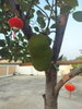 listing thumbnail image 5