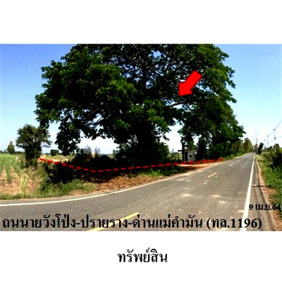 Land for sale Tron Uttaradit : FOR SALE  LAND PROPERTY  2441000 BAHT.