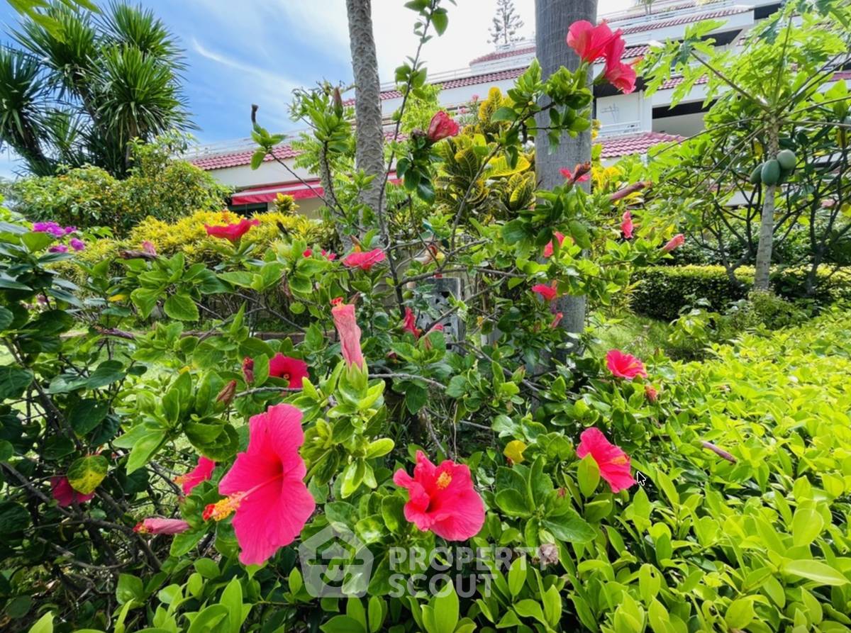 รูป คอนโด 2 ห้องนอน ขายที่ Bay View Resort บางละมุง ชลบุรี (ID 3049505) - รูปที่ 6/6