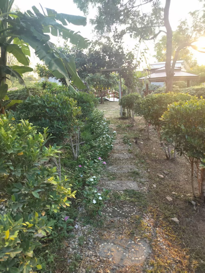 รูป ที่พัก Love in Kan Resort ให้เช่า 5 ห้อง - รูปที่ 45/155