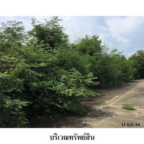 รูป Z8Z3311 ขายที่ดินเปล่า โครงการ สวนเกษตรนพวรรณ ตำบล หนองปลาสะวาย อำเภอ บ้านโฮ่ง จังหวัด ลำพูน - รูปที่ 6/8