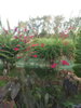 listing thumbnail image 17