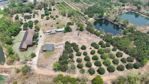 ขายที่ดินพร้อมบ้านและสวนลำไย 14 ไร่ ทำเลดีมาก อ.เมือง จ.ลำพุน