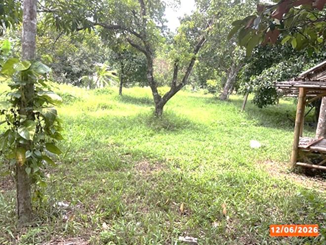 picture HOME 600 Sq.w. Lan Saka Nakhon Sri Thammarat for 1.8M - 2/15