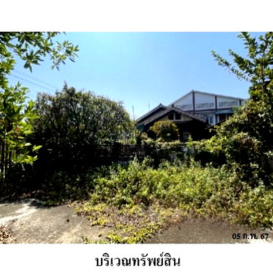 บ้านเดี่ยว เชียงใหม่ : ZHL0081 ขายบ้านเดี่ยว ตำบล ปงตำ อำเภอ ไชยปราการ จังหวัด เชียงใหม่