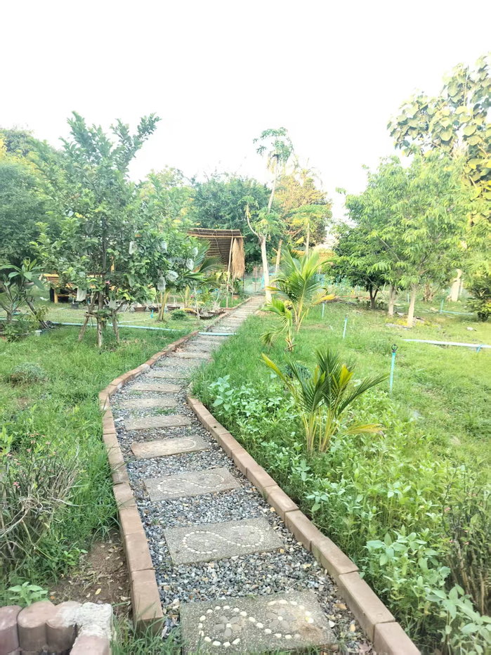 รูป ที่พัก Love in Kan Resort ให้เช่า 5 ห้อง - รูปที่ 55/155