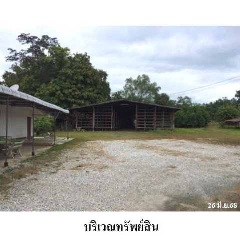 รูป Z3A1571 ขายโกดัง ตำบล เหล่ายาว อำเภอ บ้านโฮ่ง จังหวัด ลำพูน - รูปที่ 6/8