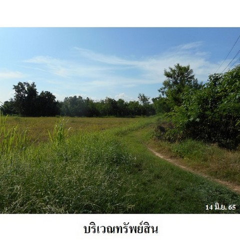 picture FOR SALE  LAND PROPERTY  9016000 BAHT. - 5/8