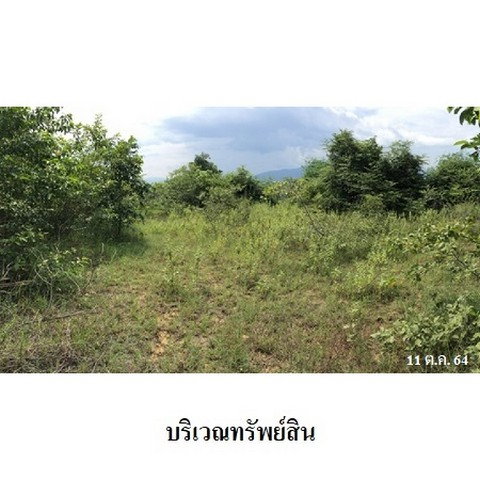 รูป Z8Z3311 ขายที่ดินเปล่า โครงการ สวนเกษตรนพวรรณ ตำบล หนองปลาสะวาย อำเภอ บ้านโฮ่ง จังหวัด ลำพูน - รูปที่ 5/8