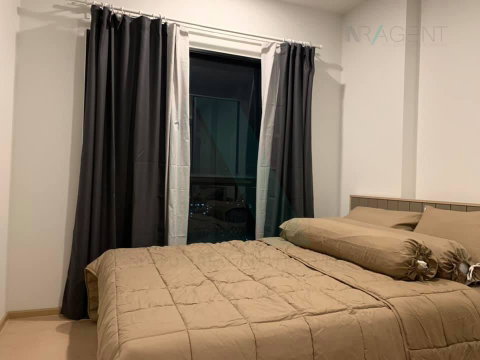 🎉 For rent condo THE TREE SUKHUMVIT 71-EKAMAI Building 1, Floor 12,1 bed room, Room size 26.00 sqm