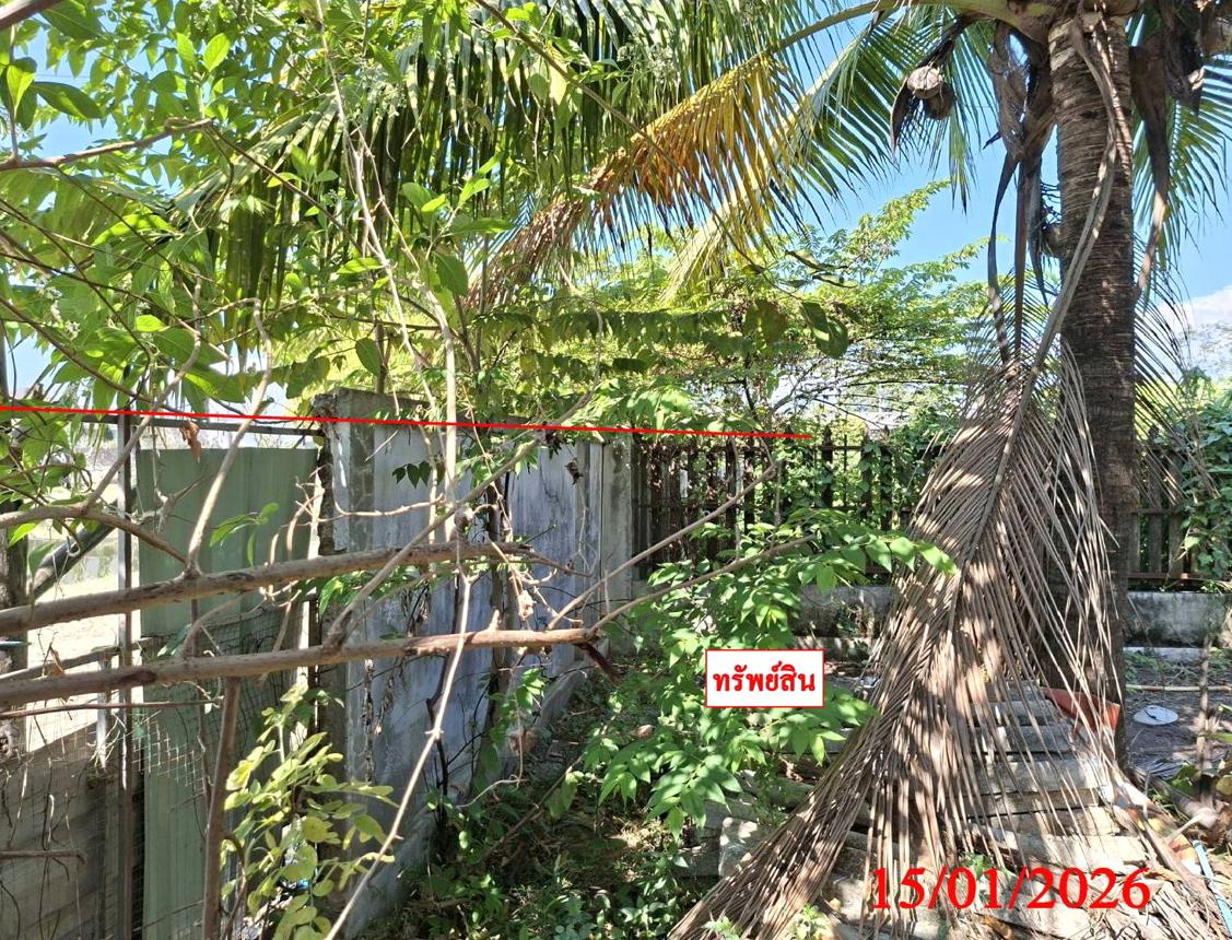 รูป บ้านเดี่ยว 457 ตร.วา หางดง เชียงใหม่ 3M - รูปที่ 13/18