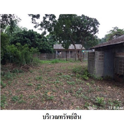รูป Z2T1905 ขายบ้านเดี่ยว ตำบล ป่าซาง อำเภอ ป่าซาง จังหวัด ลำพูน - รูปที่ 5/8