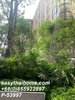 listing thumbnail image 19
