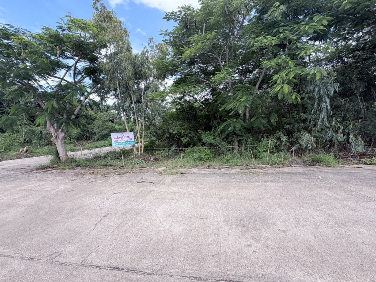 picture Land for sale, 100 square wah, Thap Tai Subdistrict, Hua Hin District, Prachuap Khiri Khan  - 6/6