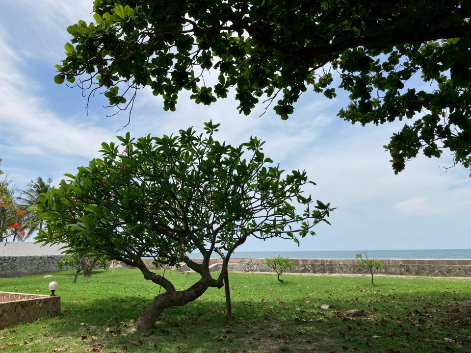 รูป บ้านพร้อมที่ดินแปลงงามติดทะเล บนทำเลศักยภาพพร้อมชายหาดส่วนตัว เหมาะสำหรับบ้านพักตากอากาศ  -SW003851 - รูปที่ 3/17