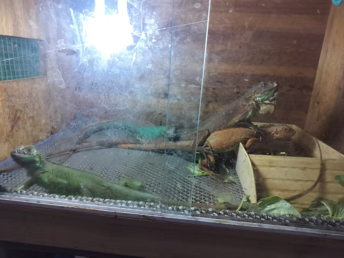 รูป ที่พัก Love in Kan Resort ให้เช่า 5 ห้อง - รูปที่ 2/155