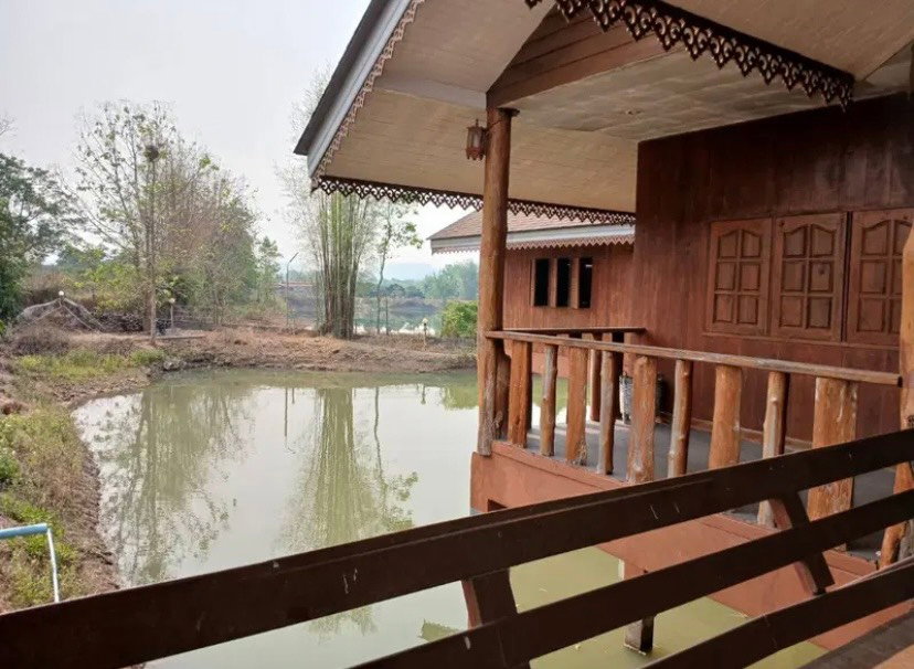 รูป ขายที่ดินพร้อมบ้านและสวนลำไย 14 ไร่ ทำเลดีมาก อ.เมือง จ.ลำพุน - รูปที่ 5/16