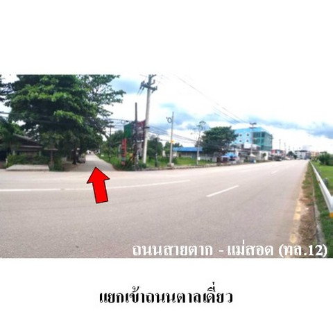 รูป ZSL0125 ขายอาคารพาณิชย์ ตำบล แม่ปะ อำเภอ แม่สอด จังหวัด ตาก - รูปที่ 8/8