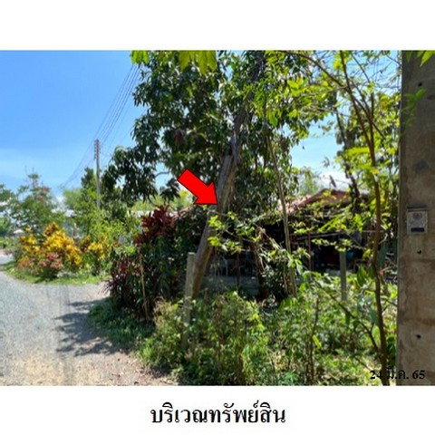 picture FOR SALE HOUSE PROPERTY 3182000 BAHT. - 5/8