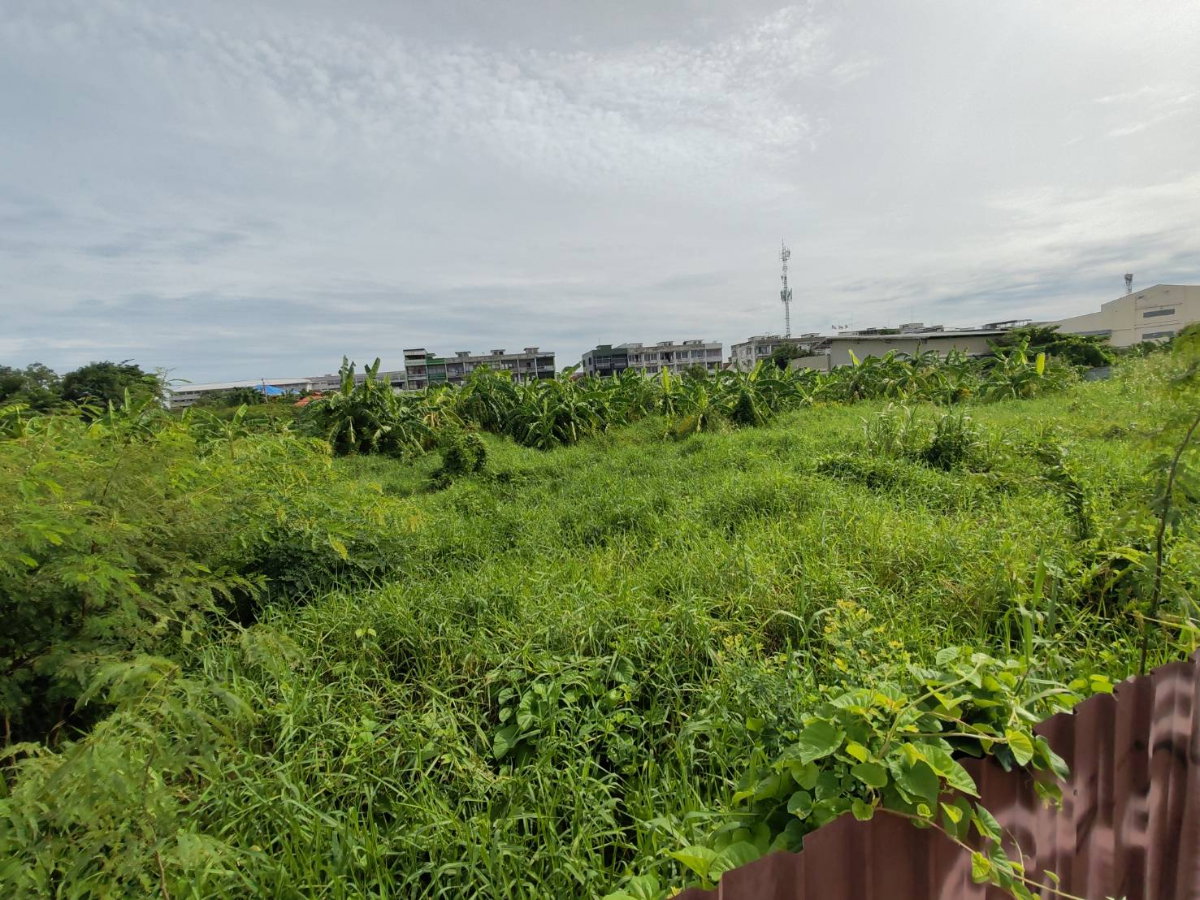 รูป ตรงข้ามวัดเล่งเน่ยยี่ 2 ใกล้เซ็นทรัลเวสต์เกต ขายที่ดินผังเมืองสีแดง 6 ไร่ 24 ตร.ว ติดถนน 2 ด้าน เหมาะ Community Mall และ Mixed Use - รูปที่ 3/8