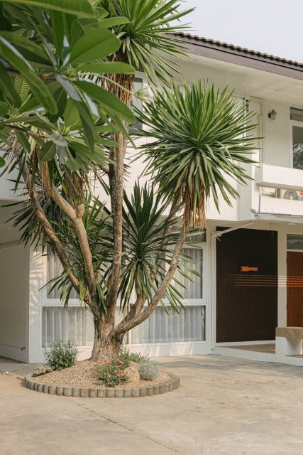 รูป 🏘️ ขายบ้านเดี่ยวพร้อมผู้เช่า 📍ทำเลทองใจกลางเมืองเชียงใหม่  พื้นที่ใช้สอยประมาณ250ตรางเมตรHS-2 - รูปที่ 2/16