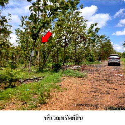 ที่ดิน บ้านโฮ่ง ลำพูน : Z9Z1325 ขายที่ดินเปล่า โครงการ เสริมทรัพย์สักทอง ตำบล หนองปลาสะวาย อำเภอ บ้านโฮ่ง จังหวัด ลำพูน