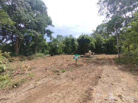 picture LAND 663 Sq.w. Khlong Thom Krabi for 2.9M - 23/26