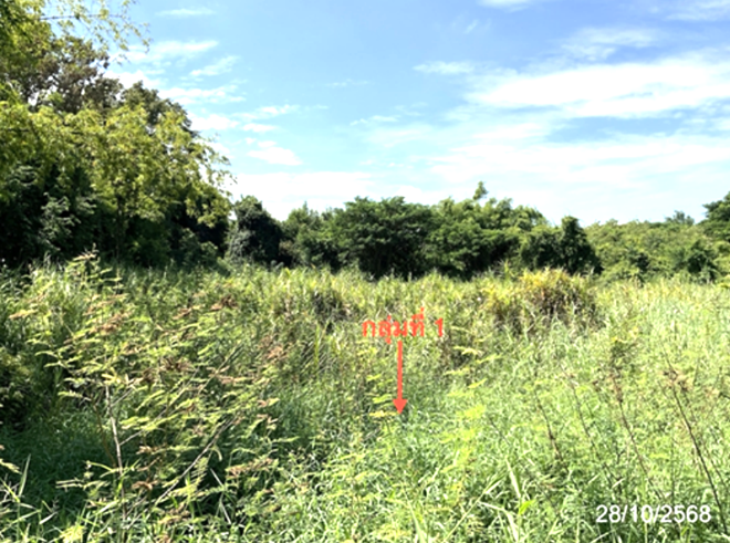 picture LAND 4686.2 Sq.w. Lat Yao Nakhon Sawan for 7M - 6/27