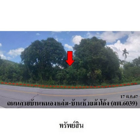 รูป ZHL0394 ขายที่ดินเปล่า ตำบล ศรีบัวบาน อำเภอ เมืองลำพูน จังหวัด ลำพูน - รูปที่ 3/8