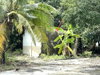 listing thumbnail image 16
