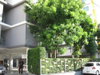 listing thumbnail image 12