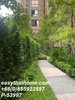 listing thumbnail image 16