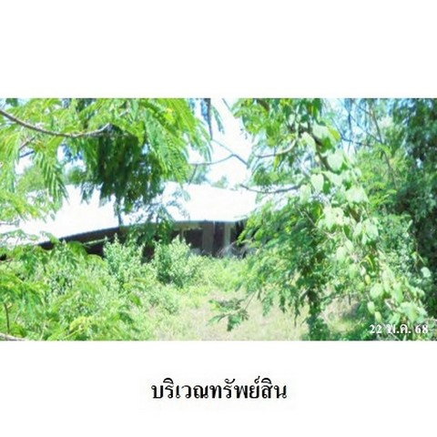 รูป ZBL0085 ขายบ้านพร้อมโรงเรือน ตำบล ทาขุมเงิน อำเภอ แม่ทา จังหวัด ลำพูน - รูปที่ 4/8