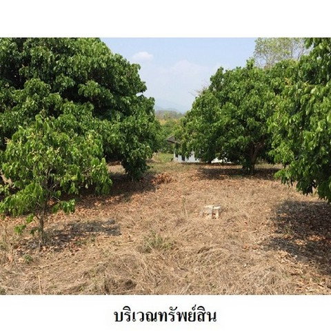 รูป Z4T0345 ขายบ้านเดี่ยว ตำบล แม่หอพระ อำเภอ แม่แตง จังหวัด เชียงใหม่ - รูปที่ 8/8